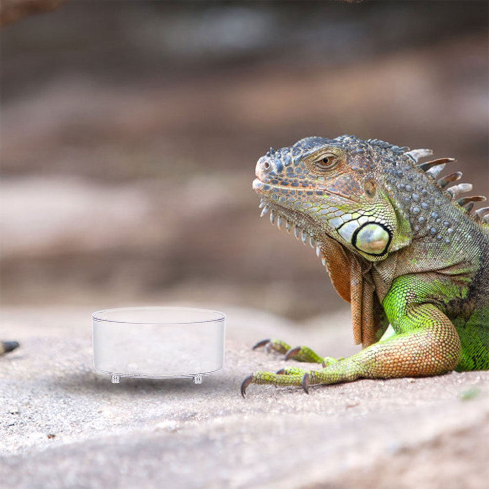 10Pcs Acrylic Reptile Food Dis - Water Dish Reptile บทวิจารณ์และราคา