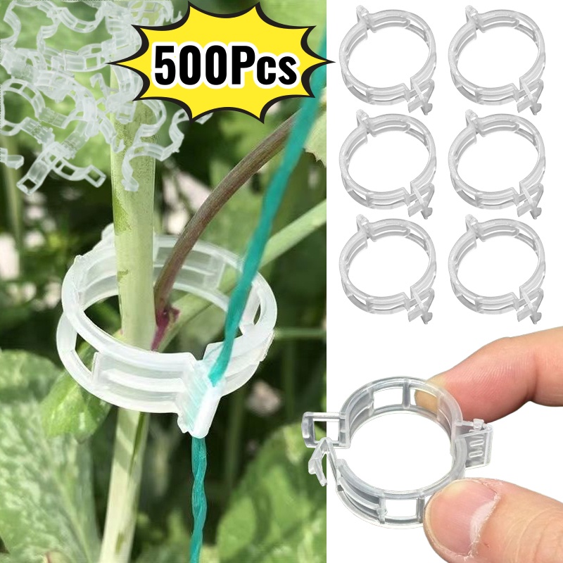 500Pcs Plastic Plant Support C - Vine Climbing Plastic บทวิจารณ์และราคา