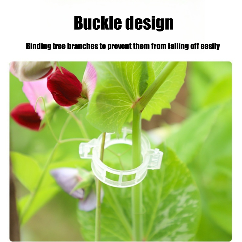 500Pcs Plastic Plant Support C - Vine Climbing Plastic บทวิจารณ์และราคา