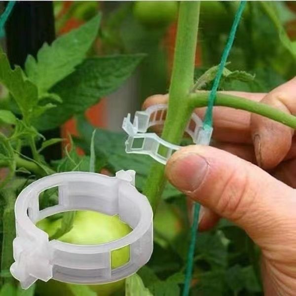 500Pcs Plastic Plant Support C - Vine Climbing Plastic บทวิจารณ์และราคา