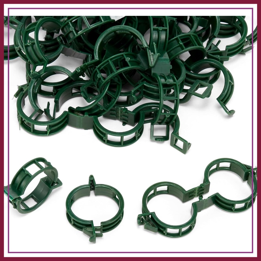 100 Pcs Plant Support Clips fo - Vine Climbing Plastic บทวิจารณ์และราคา