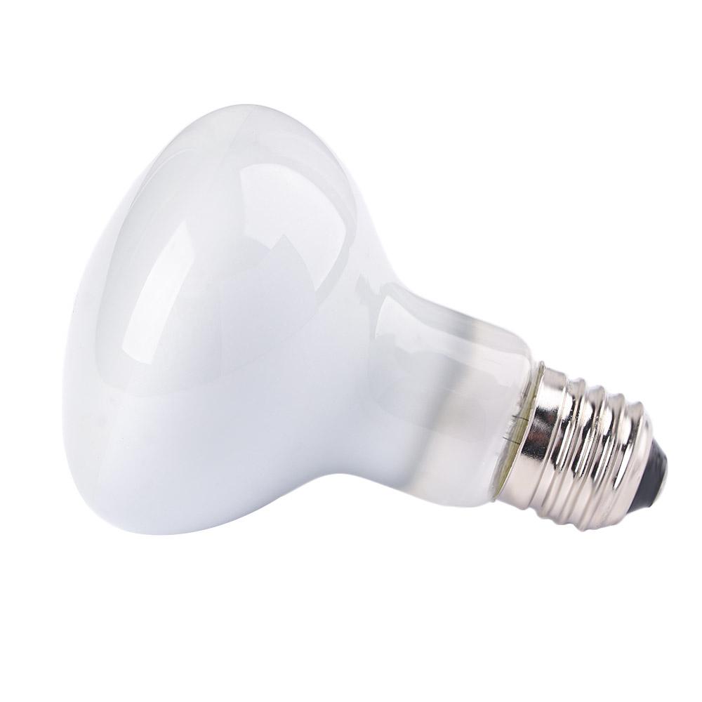Turtle Temperature Controller  - Basking Bulb Halogen บทวิจารณ์และราคา