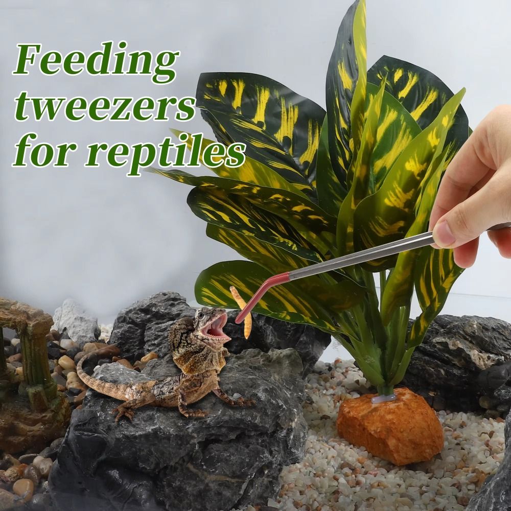 Stainless Steel Aquarium Feedi - Feeding Tong Stainless บทวิจารณ์และราคา