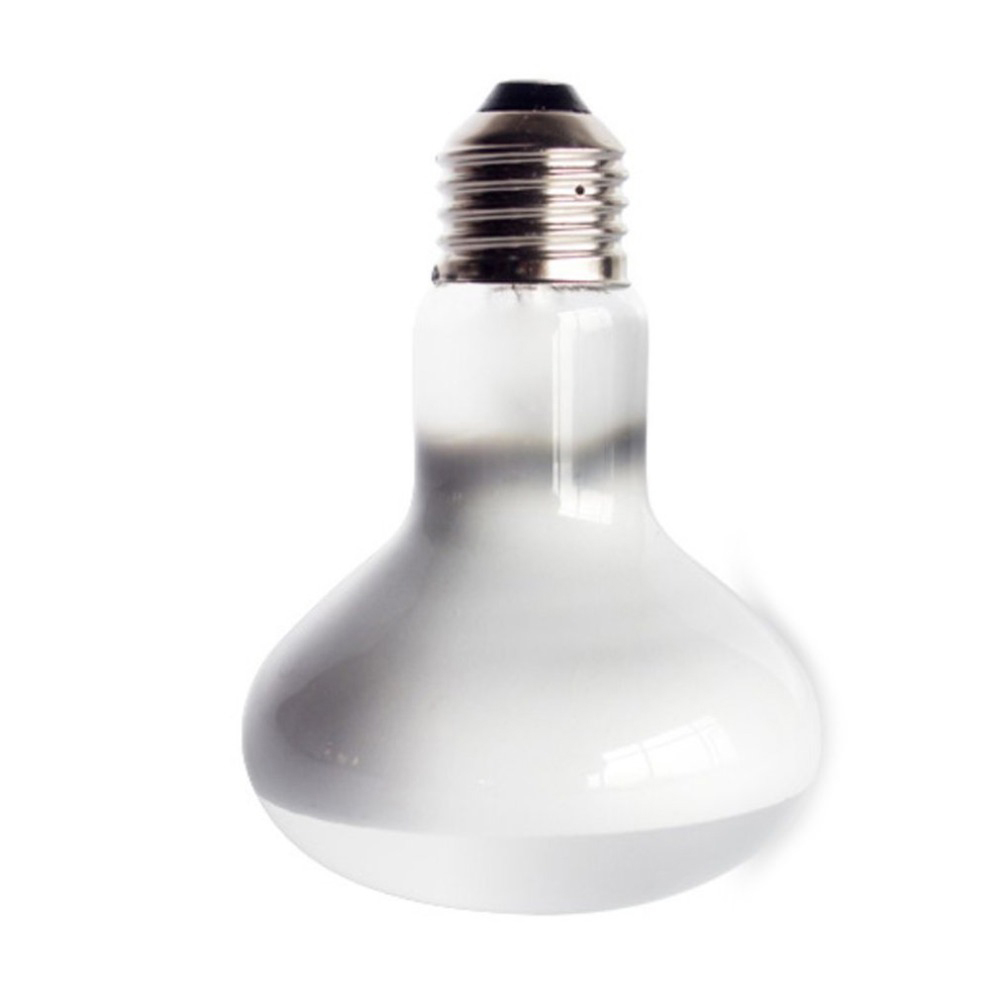 Lizard Heater Temperature Cont - Basking Bulb Halogen บทวิจารณ์และราคา