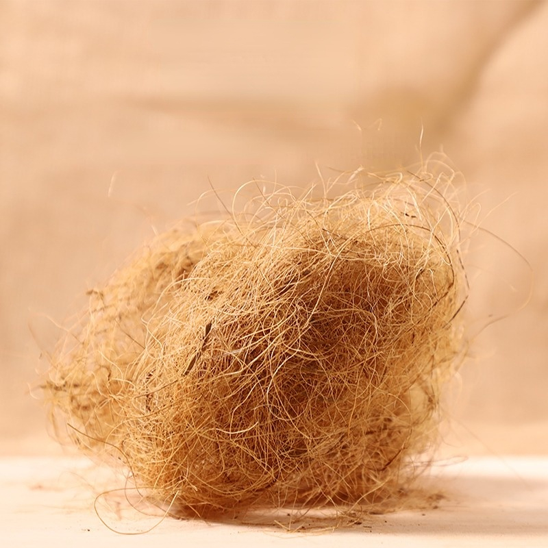 100g Finch Coconut Fiber Loose - Substrate Coconut Fiber บทวิจารณ์และราคา
