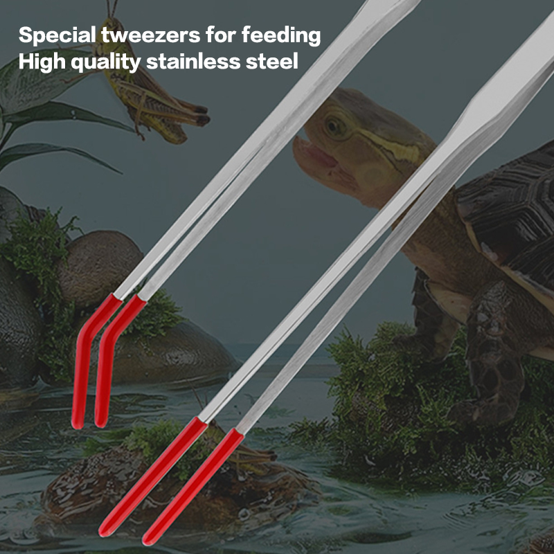 Stainless Steel Reptile Feedin - Feeding Tong Stainless บทวิจารณ์และราคา