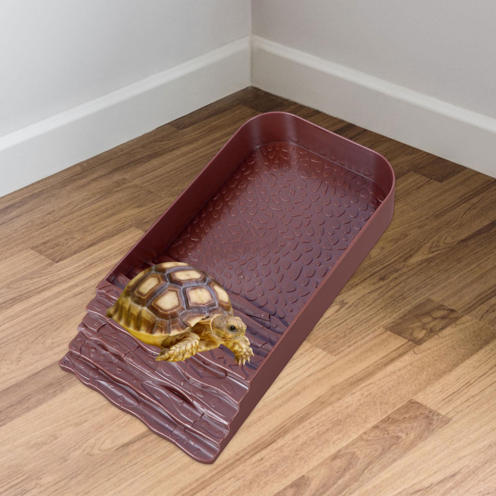 Reptile Water Bowl Accessories - Water Dish Reptile บทวิจารณ์และราคา