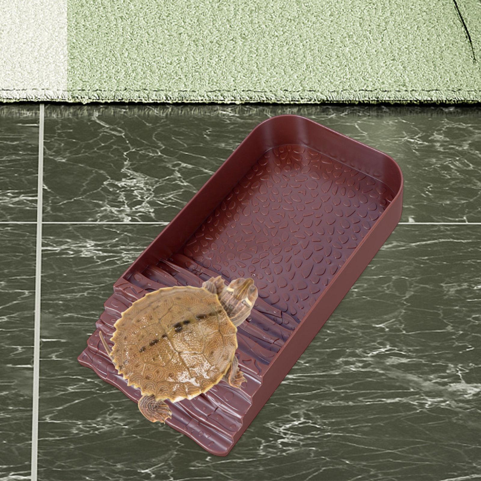 Reptile Water Bowl Accessories - Water Dish Reptile บทวิจารณ์และราคา