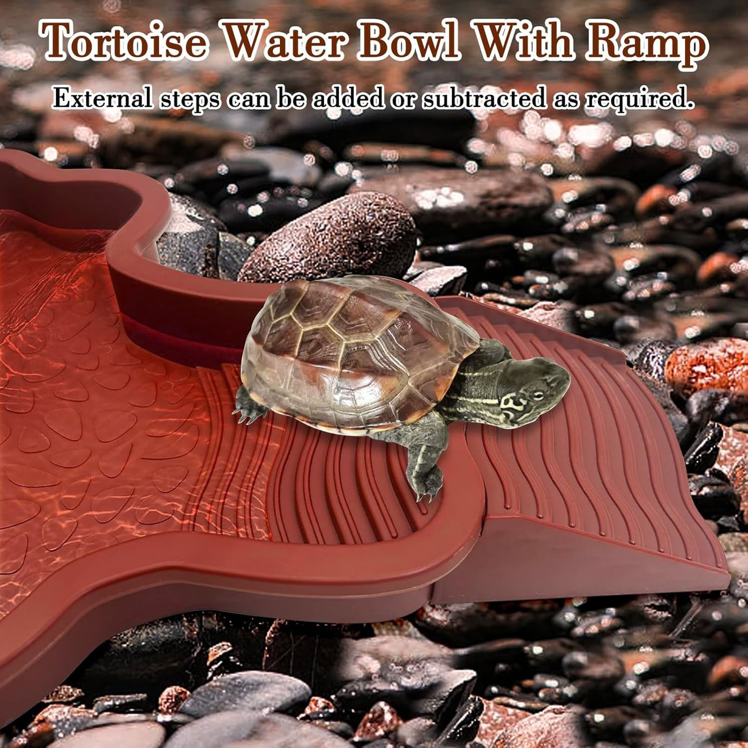 Reptile Bathing Pool with Ramp - Water Dish Reptile บทวิจารณ์และราคา