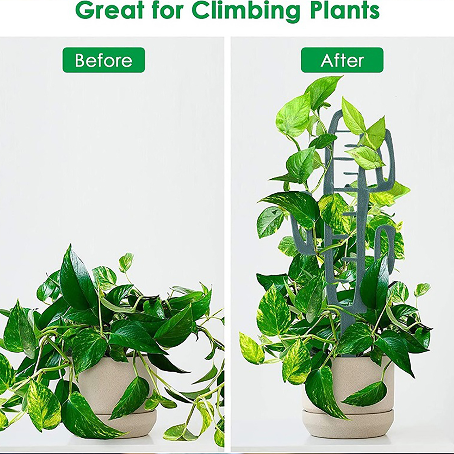 Plant Climbing Support Stand F - Vine Climbing Plastic บทวิจารณ์และราคา