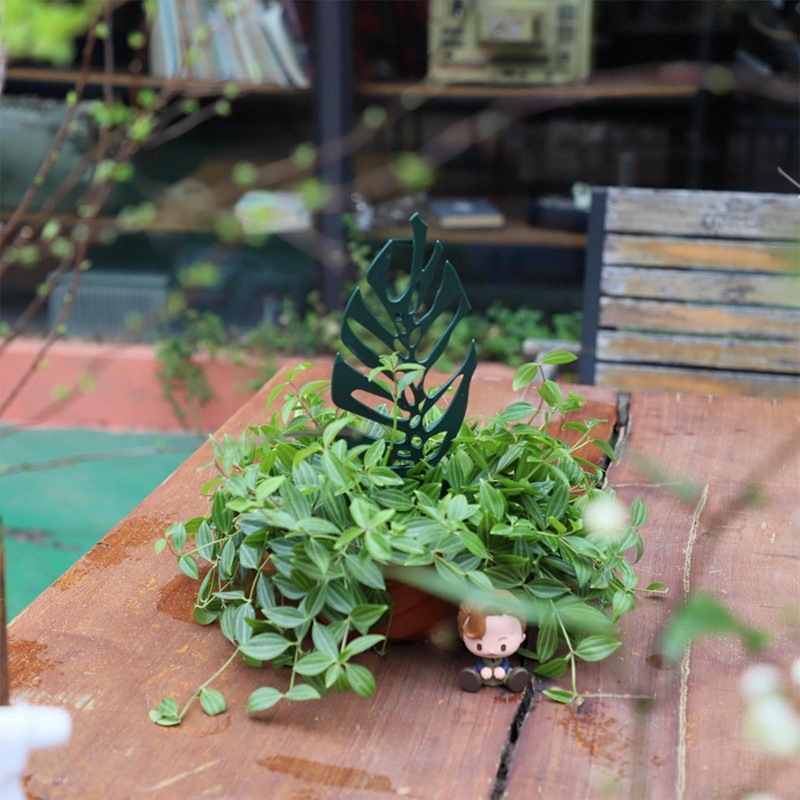 Plant Climbing Support Stand F - Vine Climbing Plastic บทวิจารณ์และราคา
