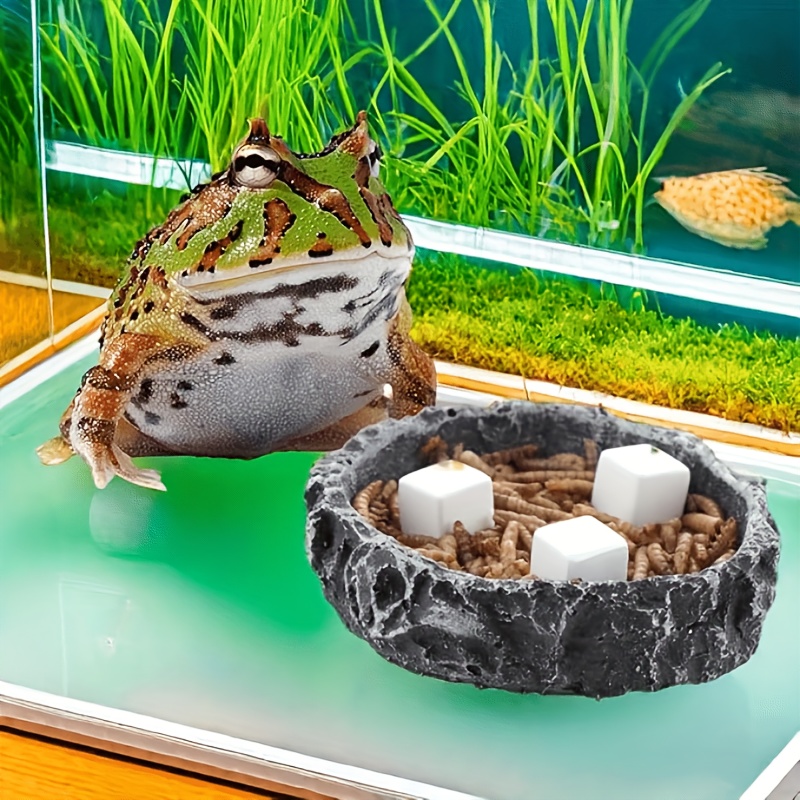 6 Pcs Fish Tank Calcium Block  - Calcium Powder Reptile บทวิจารณ์และราคา