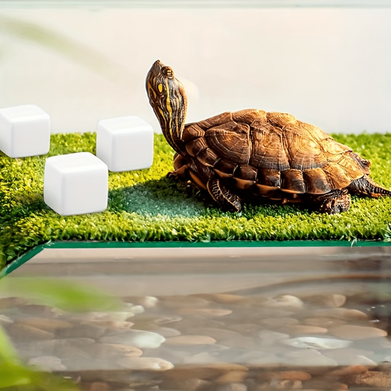 6 Pcs Fish Tank Calcium Block  - Calcium Powder Reptile บทวิจารณ์และราคา