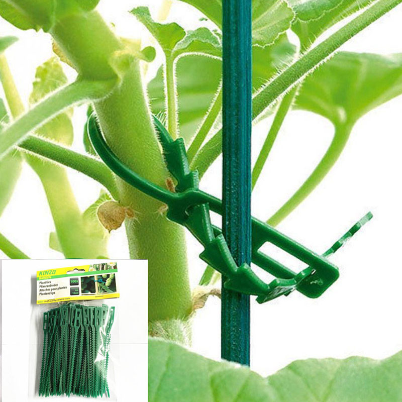 13cm Adjustable Plastic Plant  - Vine Climbing Plastic บทวิจารณ์และราคา