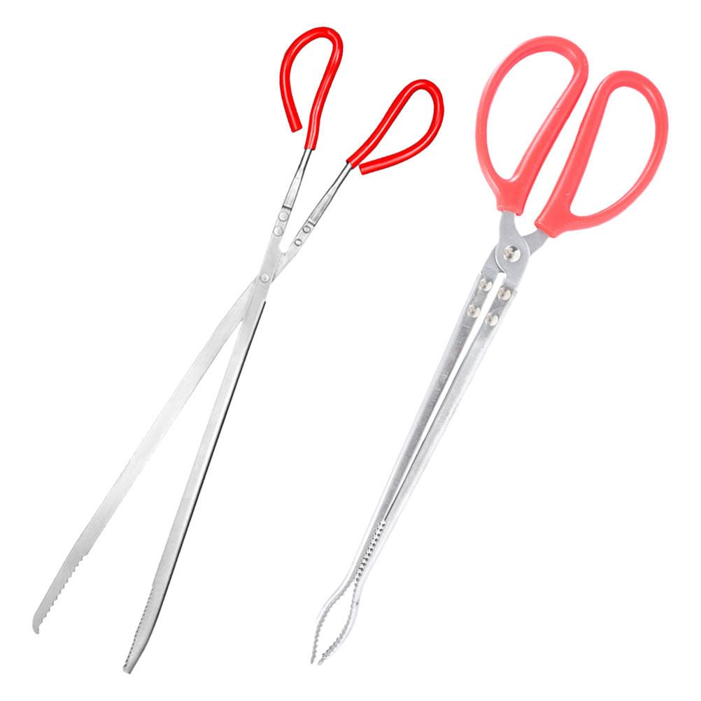 2Pcs Stainless Steel Snake Ton - Feeding Tong Stainless บทวิจารณ์และราคา