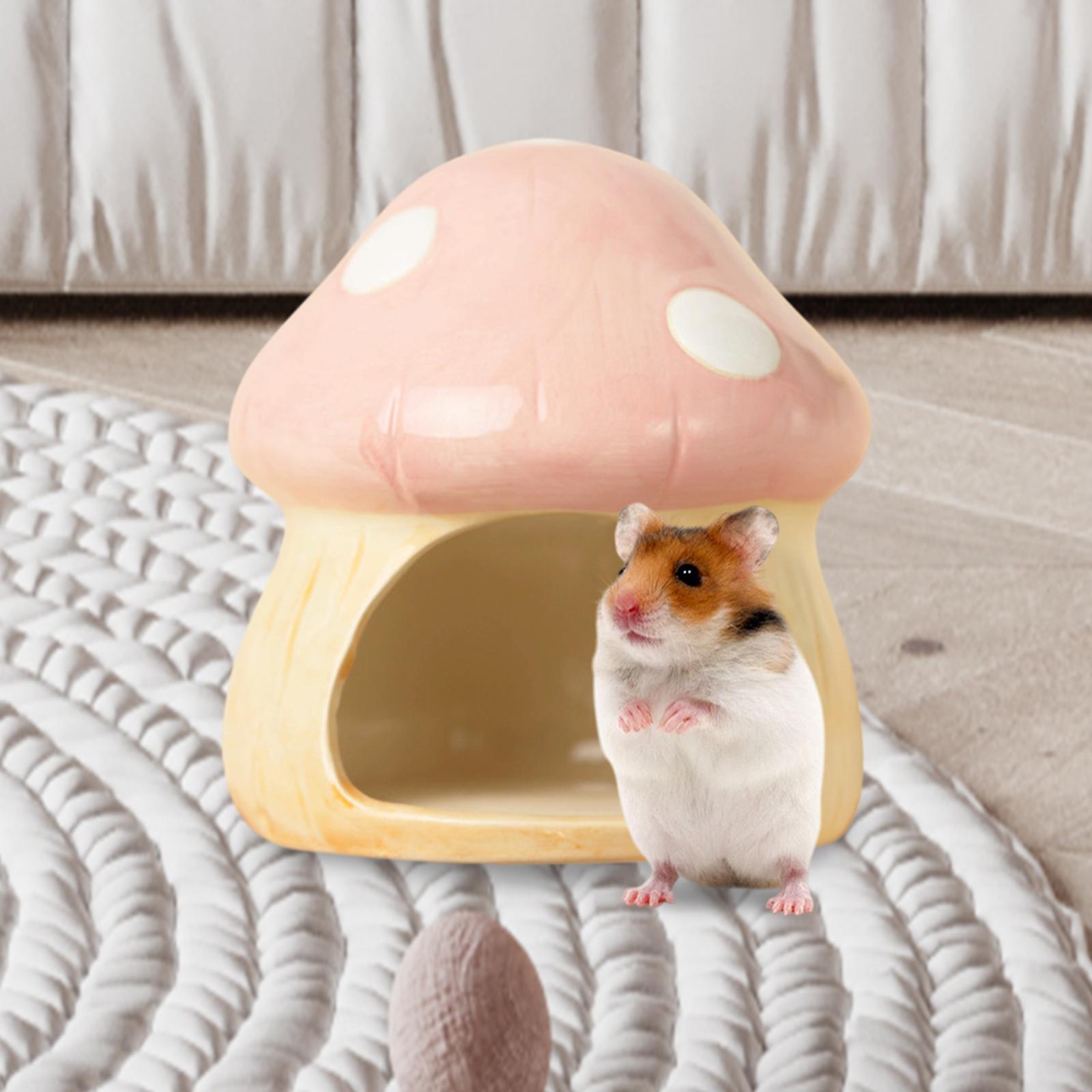 Ceramic Mushroom Hamster Hideo - Hide Cave Ceramic บทวิจารณ์และราคา