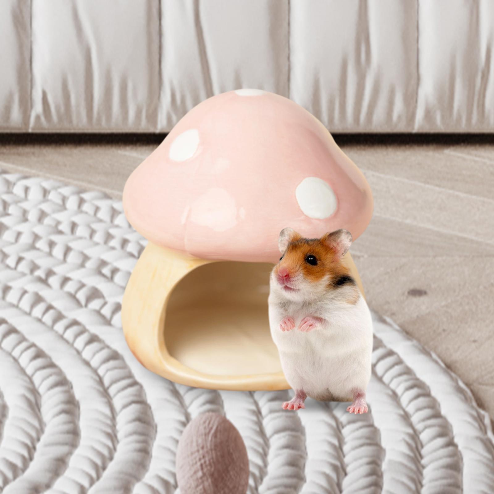 Ceramic Mushroom Hamster Hideo - Hide Cave Ceramic บทวิจารณ์และราคา