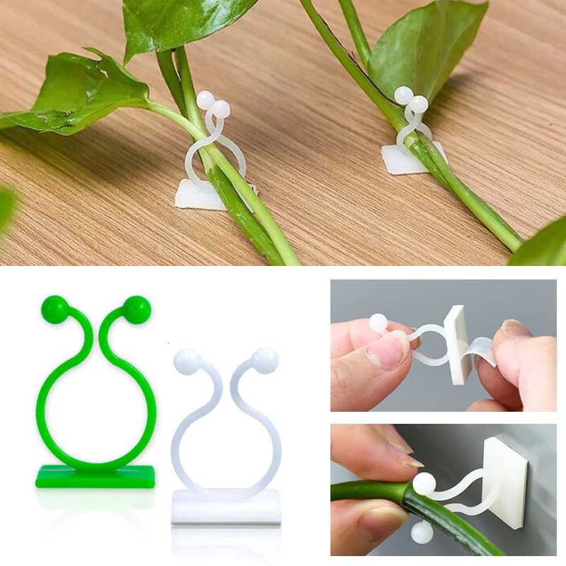 Plant Climbing Wall Self-Adhes - Vine Climbing Plastic บทวิจารณ์และราคา