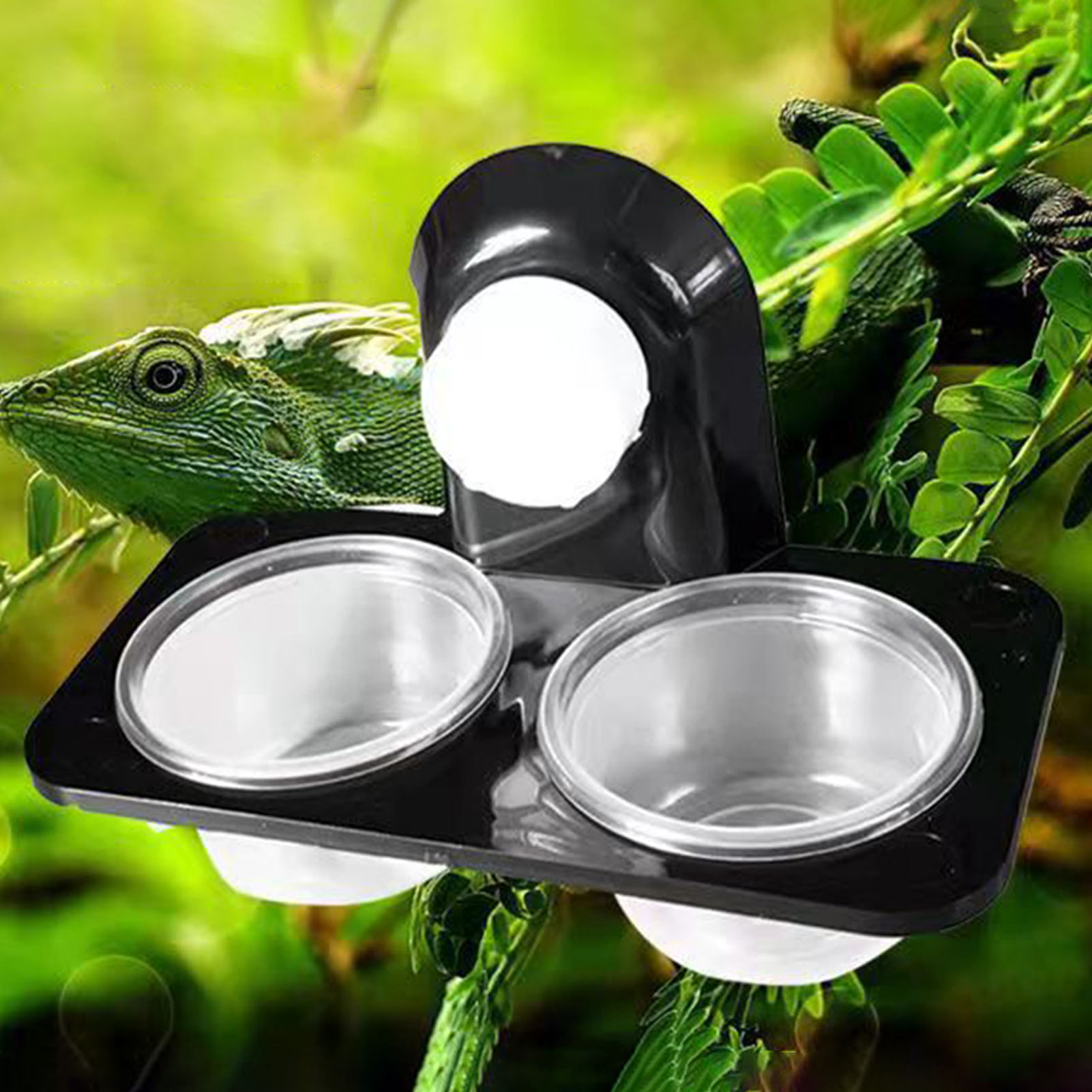 Crested Gecko Feeding Ledge Re - Water Dish Reptile บทวิจารณ์และราคา